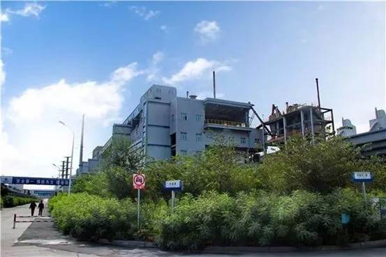 綠化、美化后的生產(chǎn)區(qū) （高玲 攝）