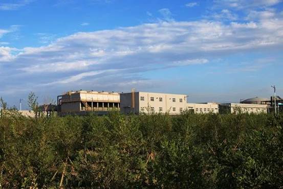 天雨煤化公司廠區(qū)一景(楊紫豪 攝)