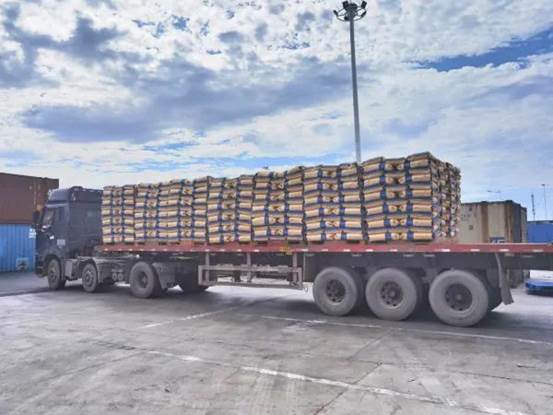 中泰進出口公司PVC出口發(fā)貨現(xiàn)場(吳傳世 攝)